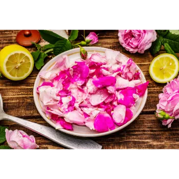 Pink Rose Petal